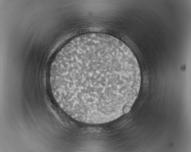 X0000114550626200911301225