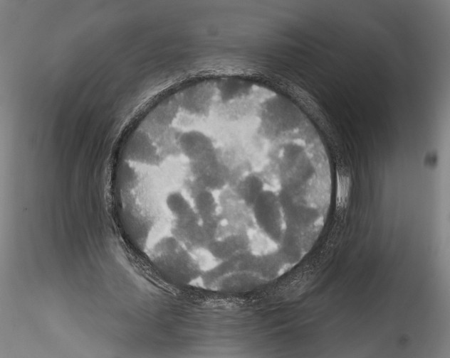X0000114550627200911301225