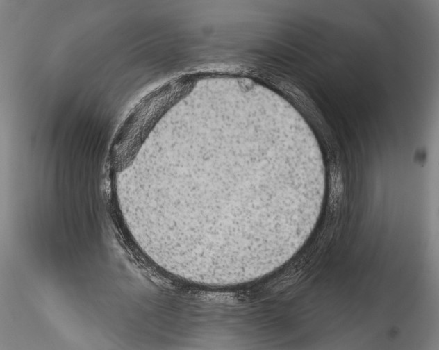 X0000114550628200911301225