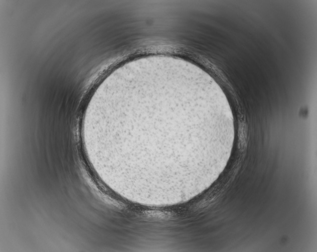 X0000114550629200911301225