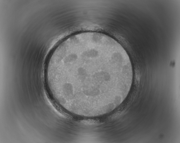 X0000114550630200911301225