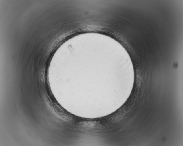 X0000114550631200911301225