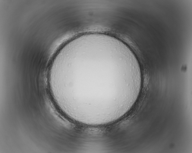 X0000114550632200911301225