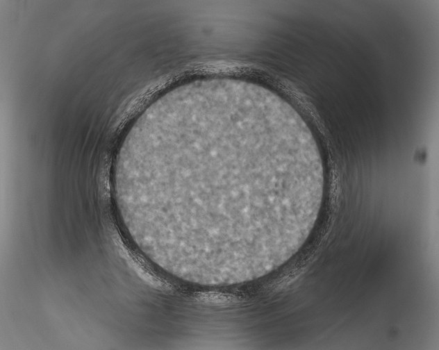 X0000114550633200911301225
