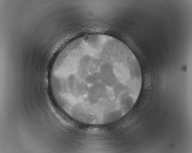 X0000114550634200911301225