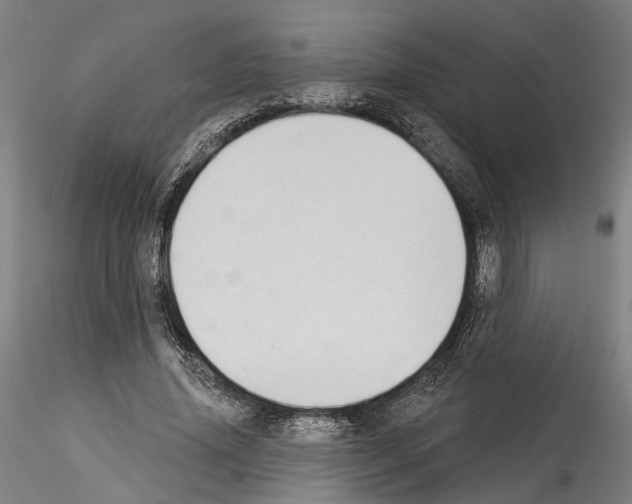 X0000114550636200911301225