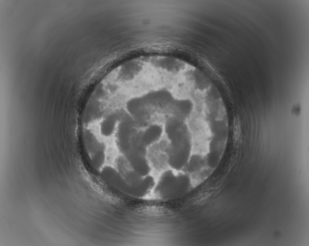 X0000114550637200911301225