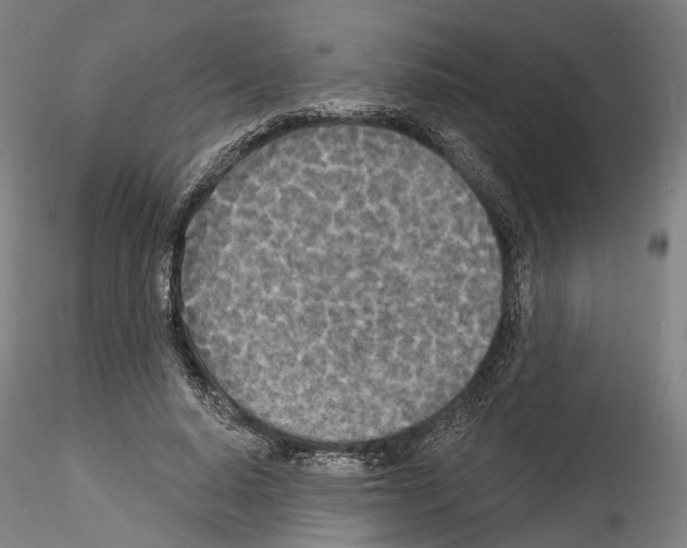 X0000114550640200911301225