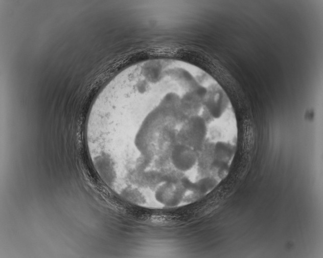 X0000114550641200911301225