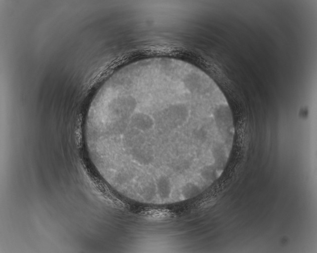 X0000114550642200911301225