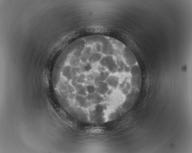 X0000114550643200911301225
