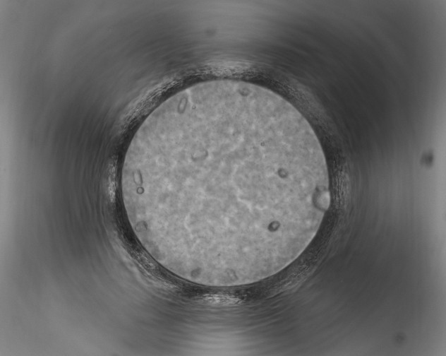 X0000114550644200911301225