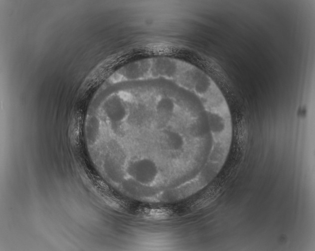 X0000114550645200911301225