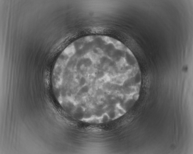 X0000114550648200911301225
