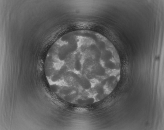 X0000114550649200911301225