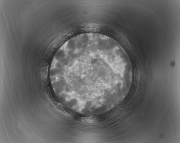 X0000114550652200911301225