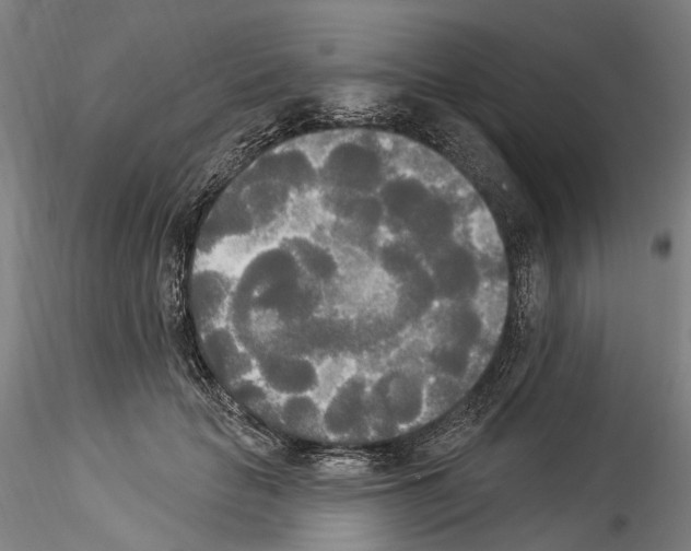 X0000114550653200911301225