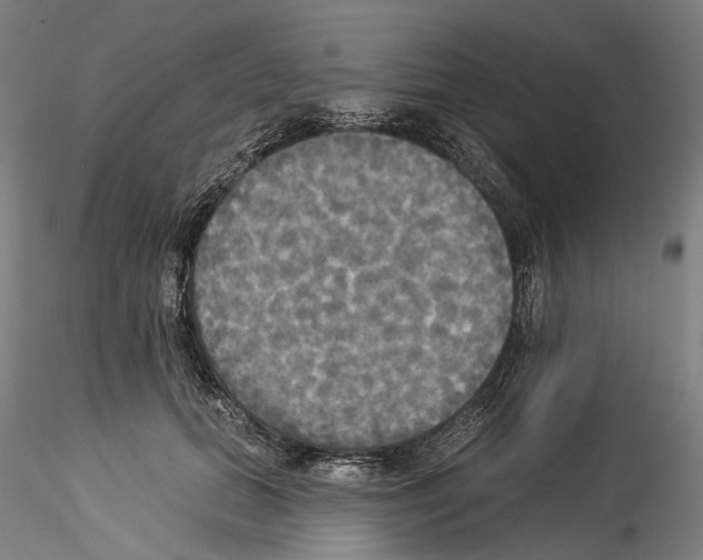 X0000114550655200911301225