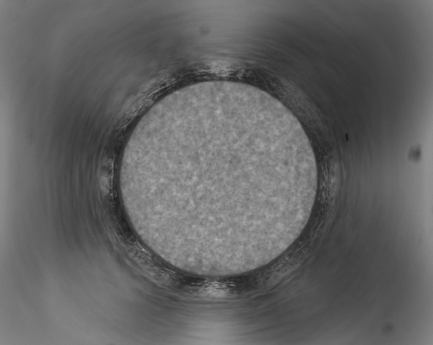 X0000114550656200911301225