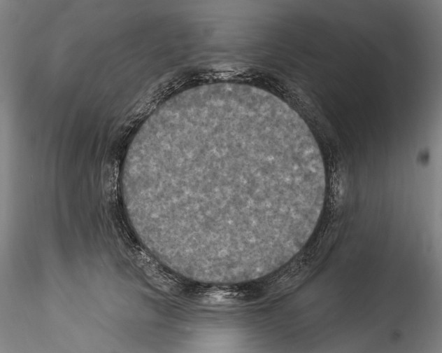 X0000114550657200911301225