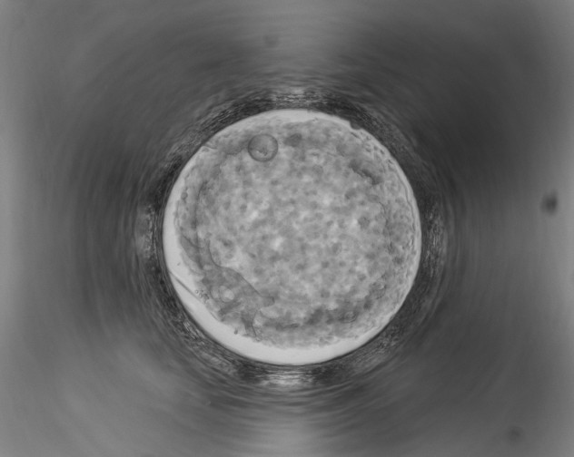 X0000114550659200911301225