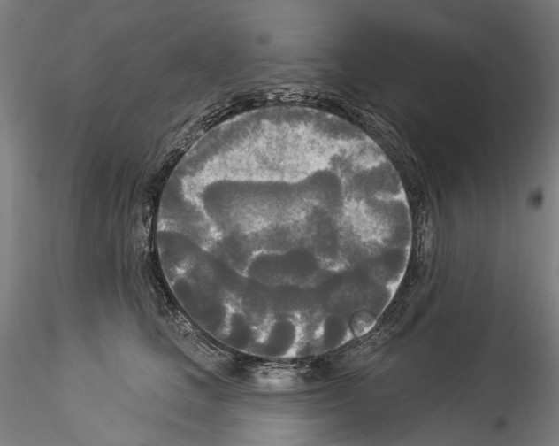 X0000114550661200911301225