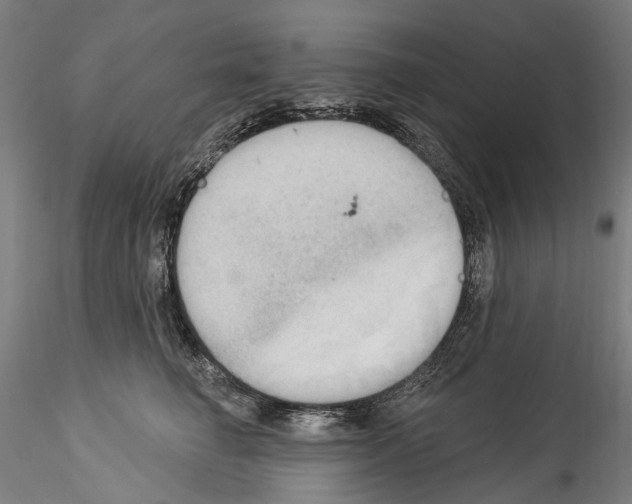 X0000114550662200911301225