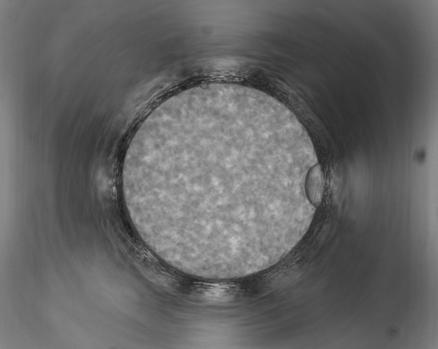 X0000114550663200911301225