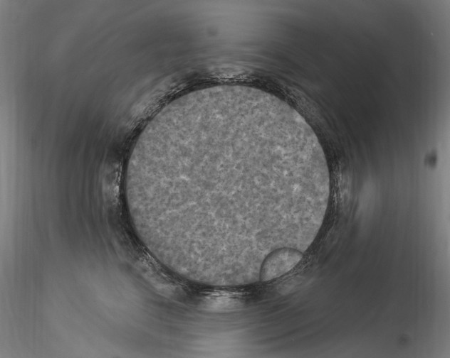 X0000114550664200911301225