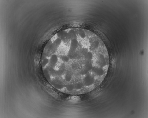 X0000114550665200911301225