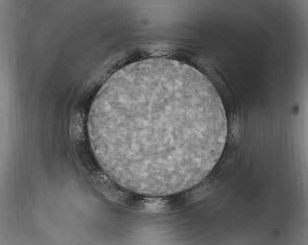 X0000114550667200911301225