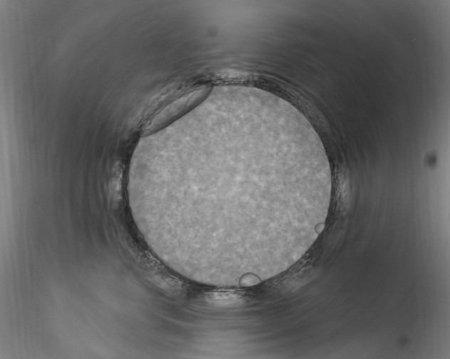 X0000114550668200911301225