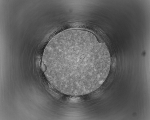 X0000114550669200911301225