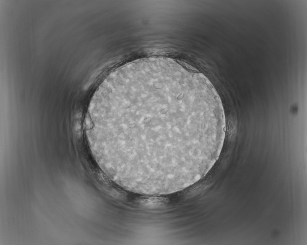 X0000114550670200911301226