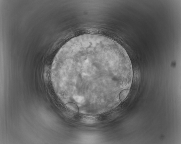 X0000114550671200911301226
