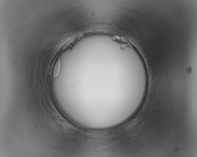 X0000114550673200911301225