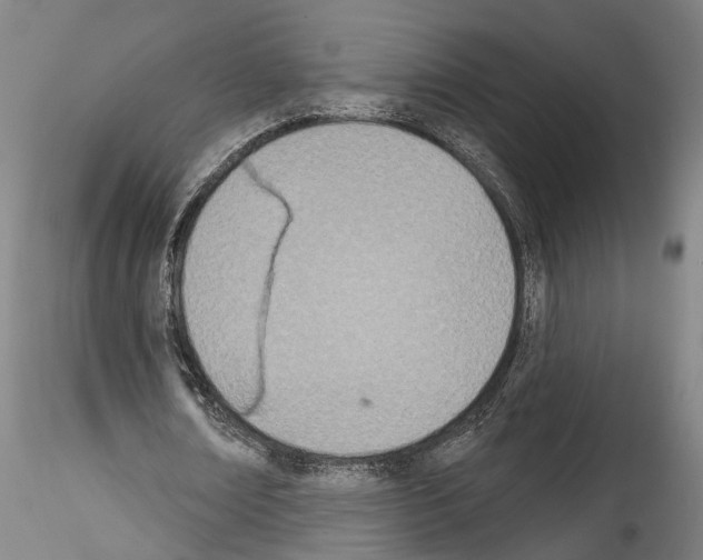 X0000114550674200911301225