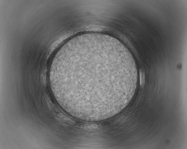 X0000114550675200911301225