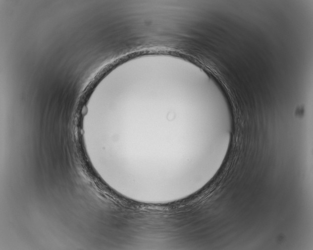 X0000114550676200911301225