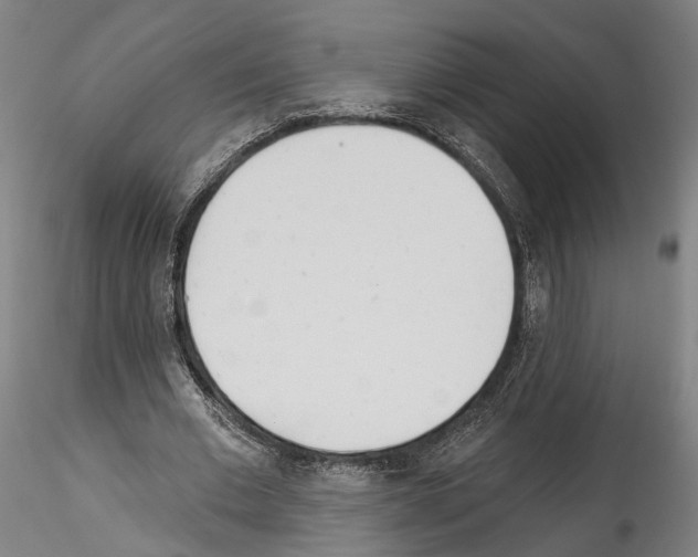 X0000114550677200911301225