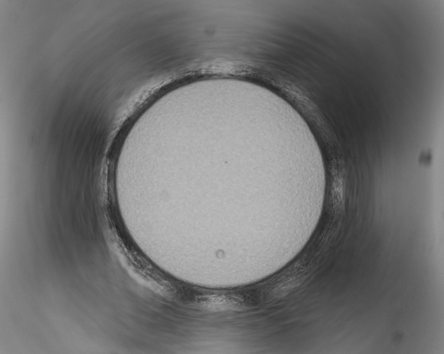 X0000114550678200911301225