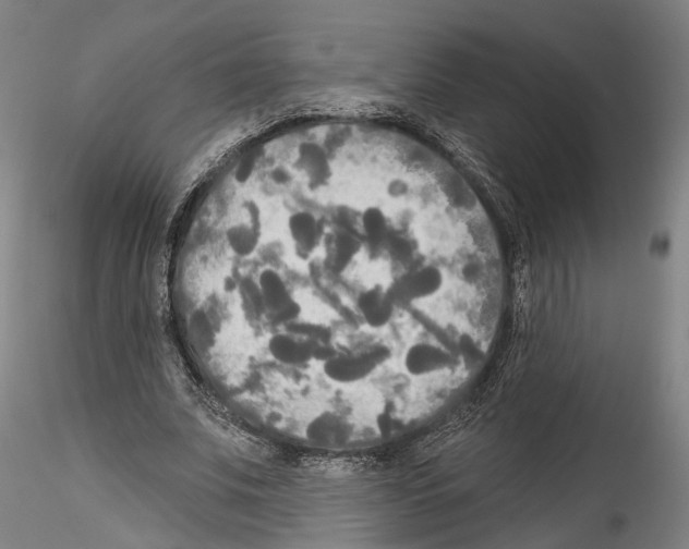 X0000114550679200911301225