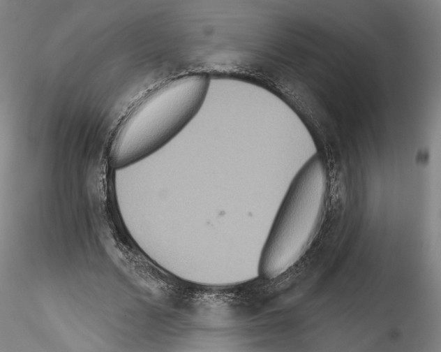X0000114550680200911301225