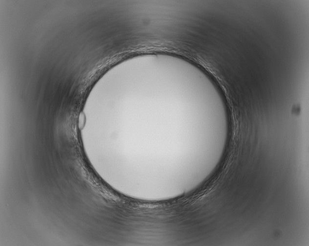 X0000114550681200911301225