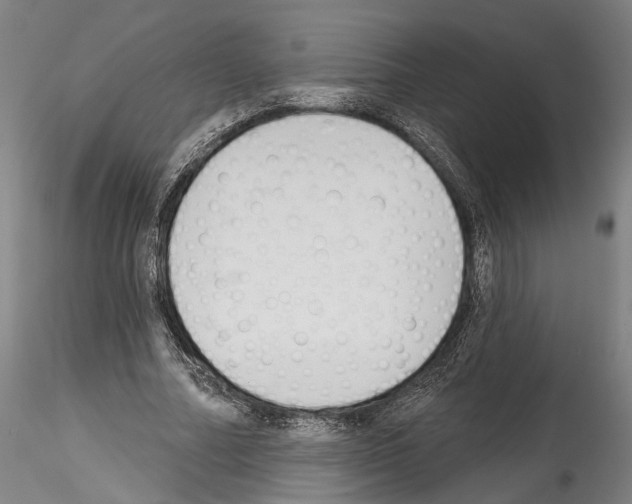 X0000114550682200911301225