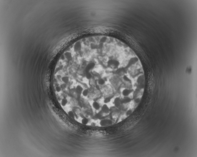 X0000114550683200911301225