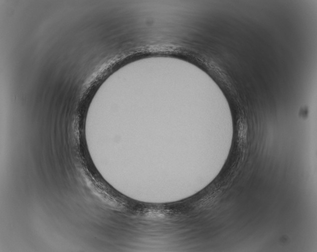 X0000114550684200911301225