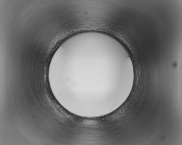 X0000114550685200911301225
