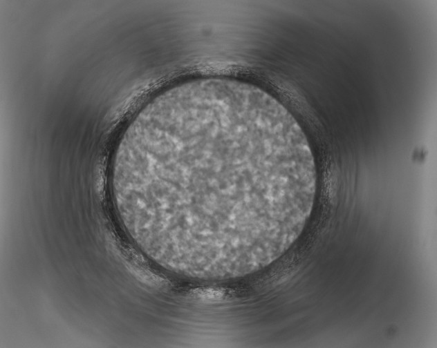 X0000114550687200911301225