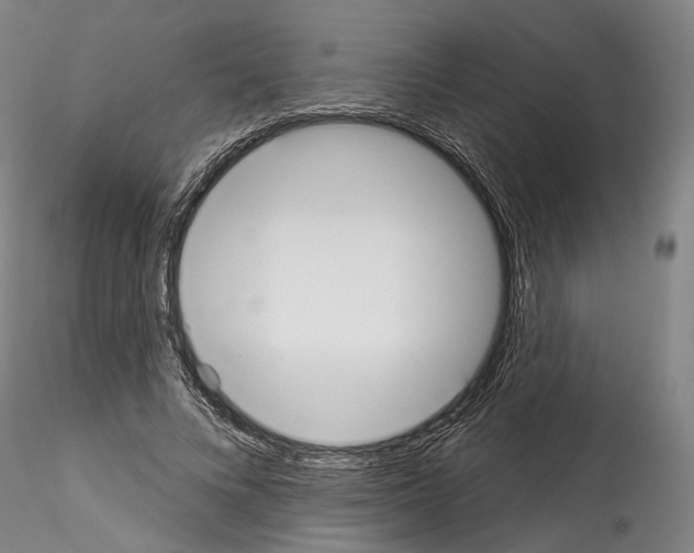 X0000114550688200911301225